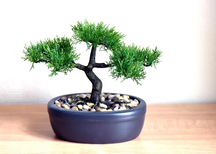 Appartement L'univers Marin - 50m Front De Berck